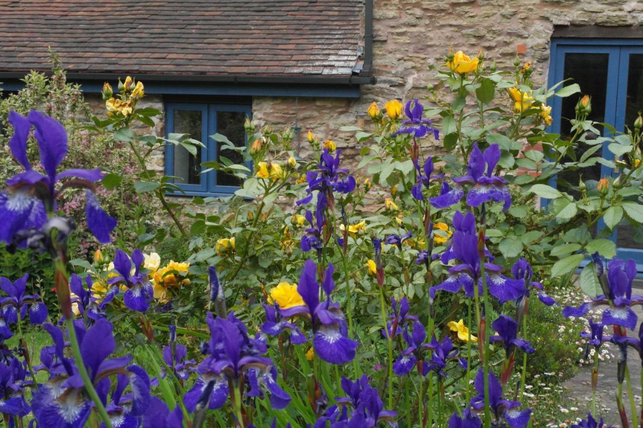 Prospect Barn Bed and Breakfast Χέρεφορντ Εξωτερικό φωτογραφία