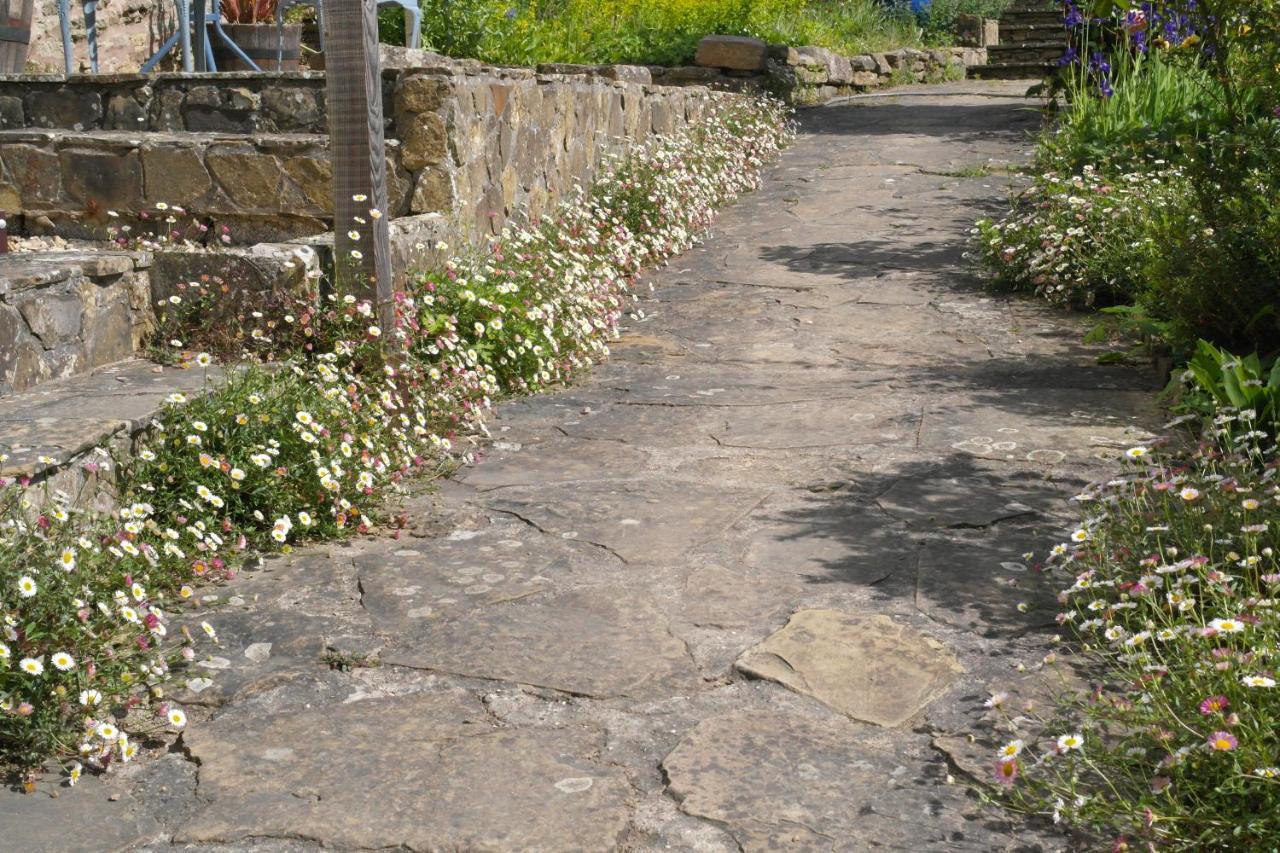 Prospect Barn Bed and Breakfast Χέρεφορντ Εξωτερικό φωτογραφία